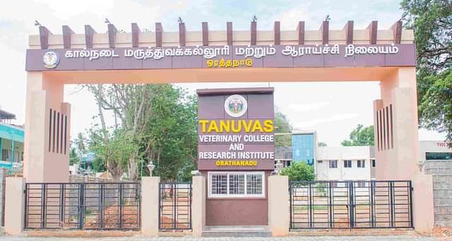 College Image